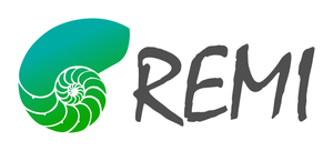logo programa remi web