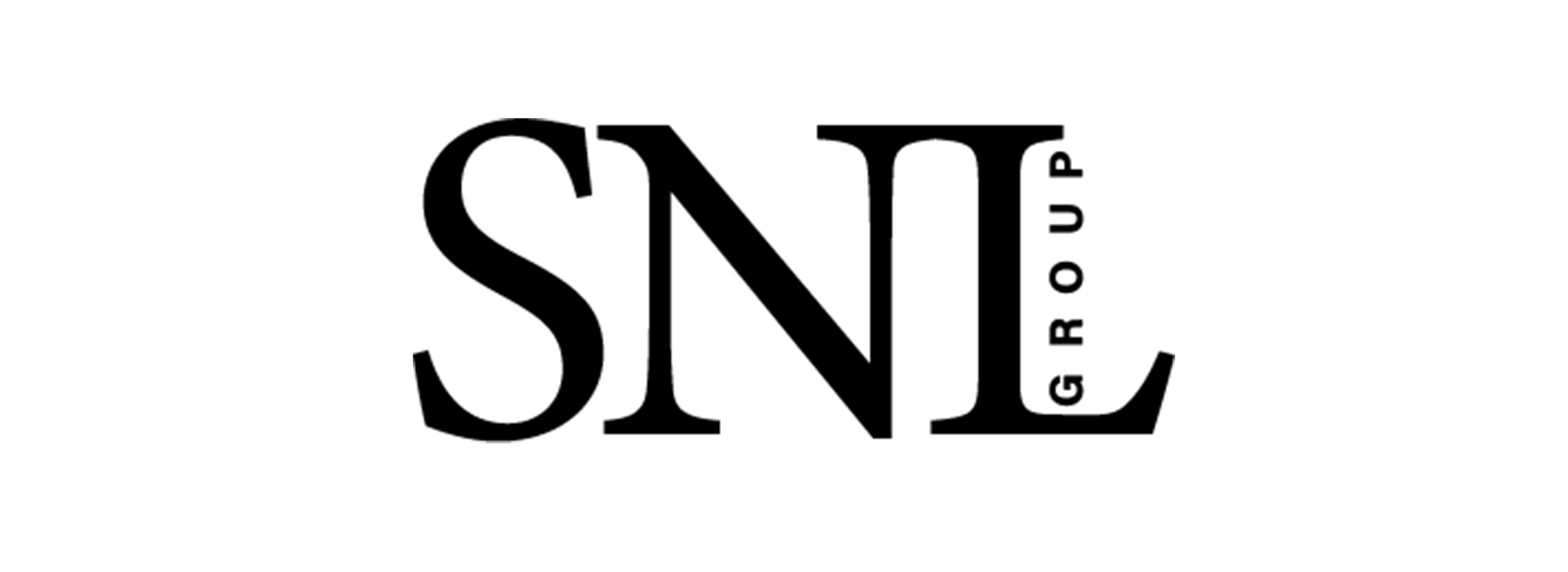 snl group logo proveidor
