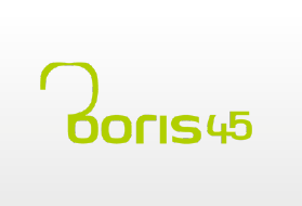 Boris 45 logo 2 col