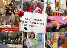 fotos sant jordi centres 1 col