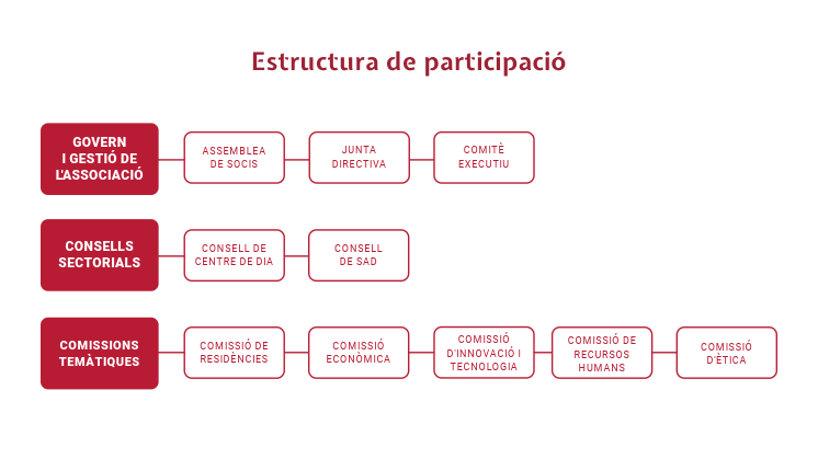 estructura participació ACRA 2025