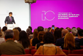 10 anys llei formació i qualificació professional