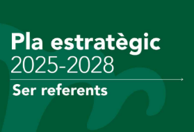 pla estratègic mutuam 2 col