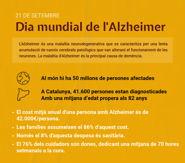 DM Alzheimer 2025 - butlletí