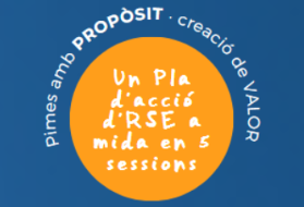 programa RSE.Pime 2 col respon.cat