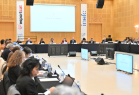 Ple consell general serveis socials