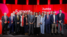 cinta vice foment 2 col
