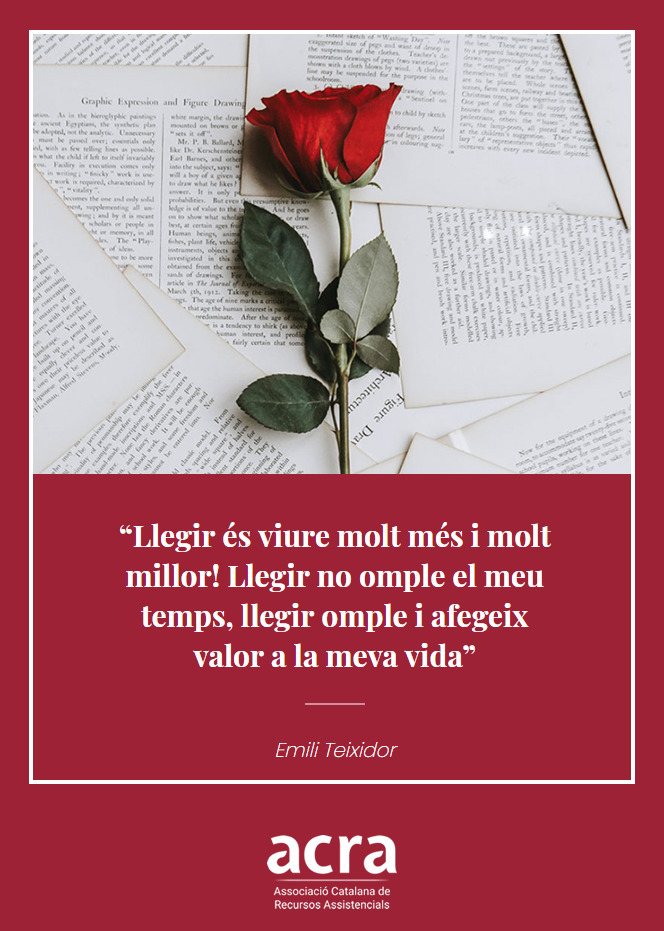 Postal Sant Jordi 2019 - Responsive