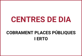 instancia centres dia 2col