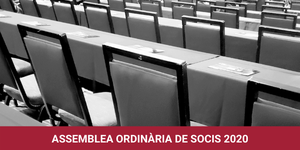 assemblea 598