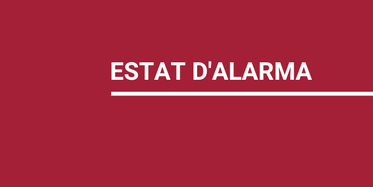 estat alarma 598