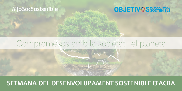 sostenible 598