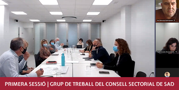 sessió SAD 598