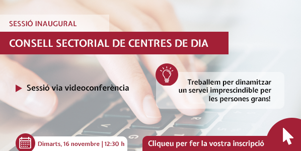 consell sectorial cdd 598