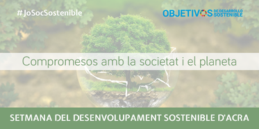 sostenible v2 598
