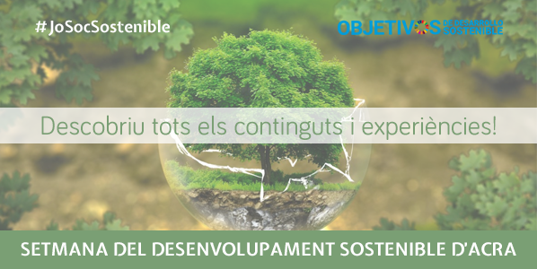 sostenible final 598