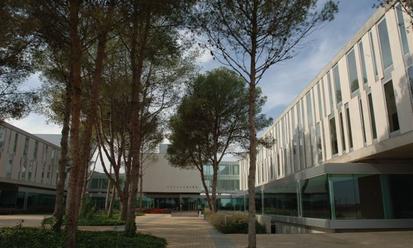 COMPLEX RESIDENCIAL BETULA ALBA 2