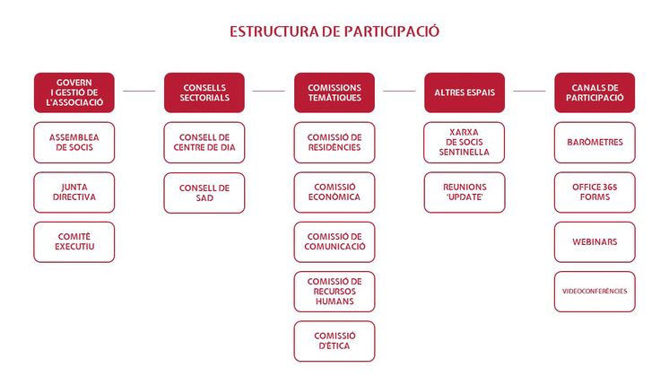 estructura de participacio acra 2022 png