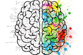 NEUROCIENCIA