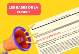 subvencions cospe 2col